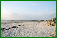 Morning Beach View